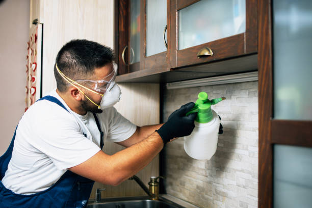 Best Best Pest Control Companies  in Westwood Lakes, FL
