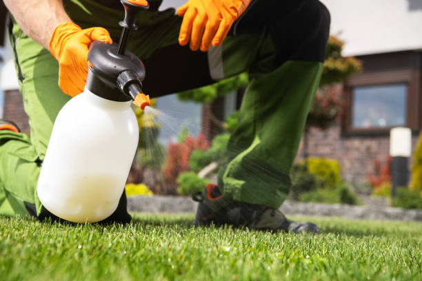 Best Mosquito Control Services  in Westwood Lakes, FL