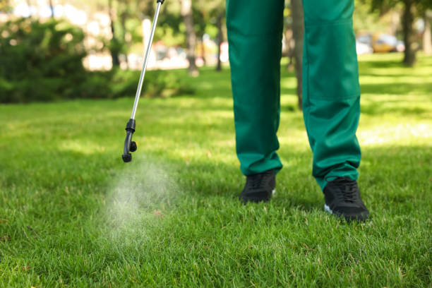 Wildlife Control Services in Westwood Lakes, FL
