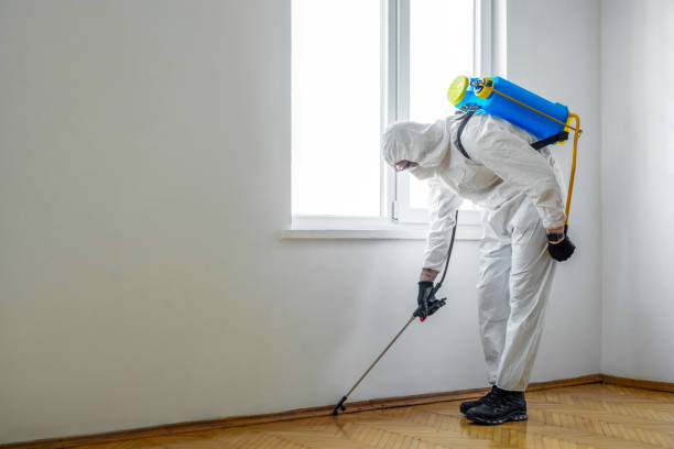 Best Best Pest Control Companies  in Westwood Lakes, FL