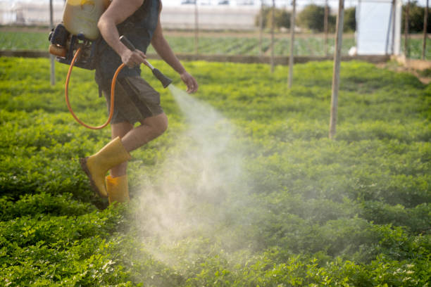 Best Best Pest Control Companies  in Westwood Lakes, FL