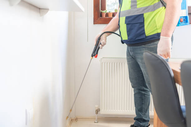 Best Wasp Removal Services  in Westwood Lakes, FL