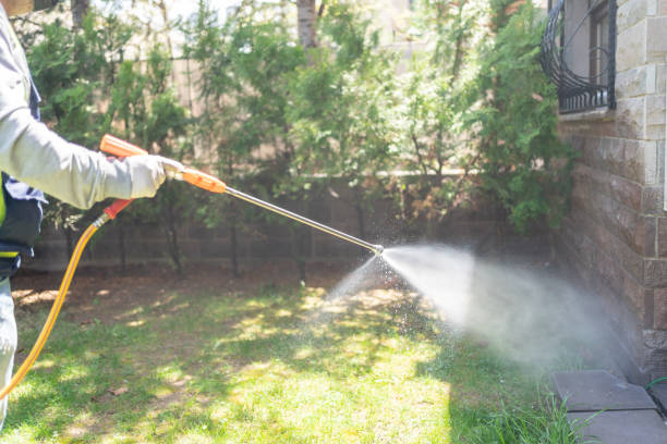 Best Affordable Pest Control Services  in Westwood Lakes, FL