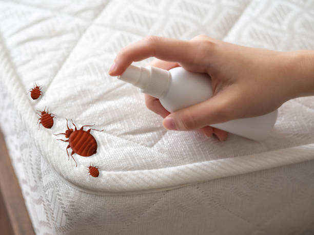 Best Pest Control Near Me  in Westwood Lakes, FL