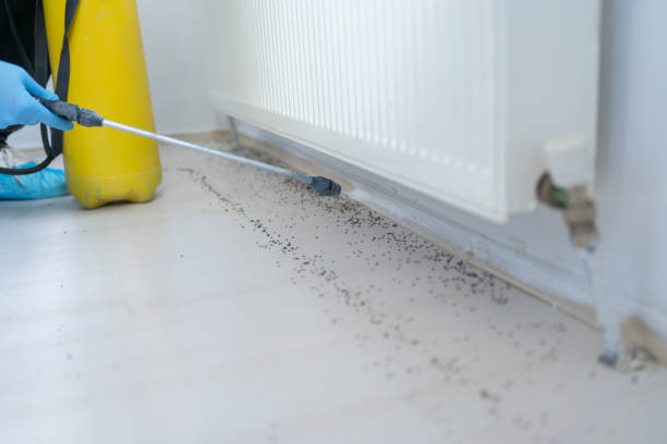 Best Residential Pest Control  in Westwood Lakes, FL