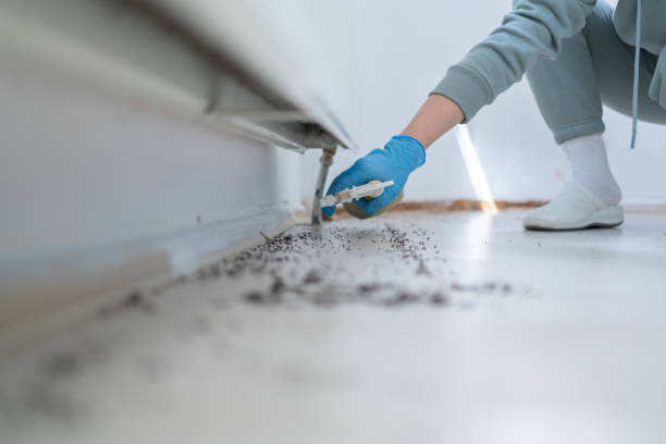 Trusted Westwood Lakes, FL Pest Control Experts